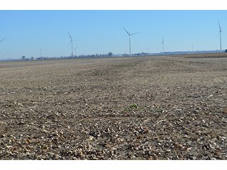 Tract 3 - FARMLAND AUCTION - 165.5+/- ACRES OFFERED IN 5 TRACTS OR COMBINATIONS IN EAST ALLEN COUNTY